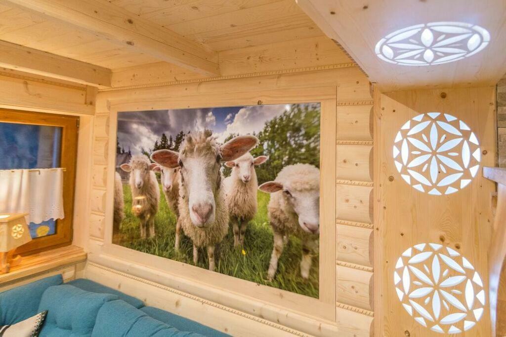 Appartement Goralska Kryjowka à Zakopane Extérieur photo